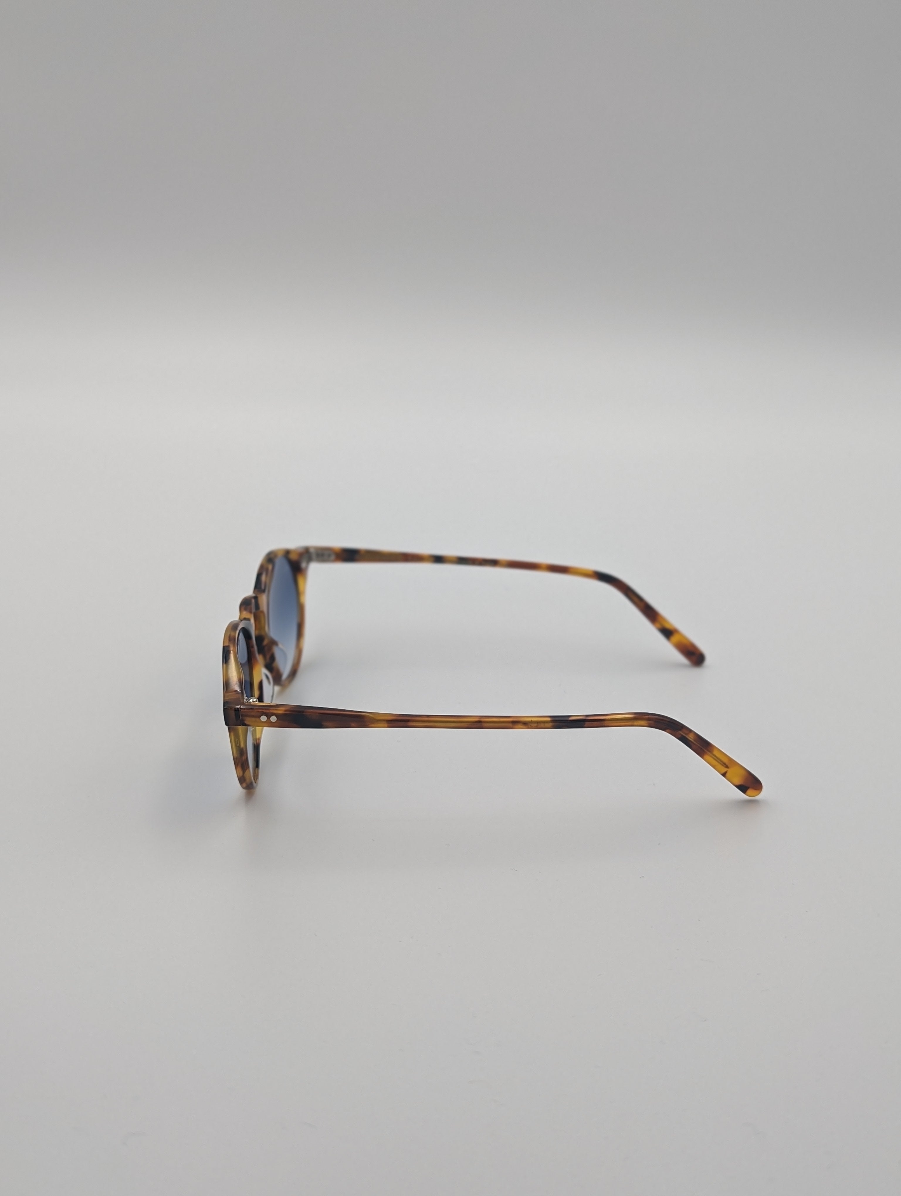 Sunglasses Classic - Wasp