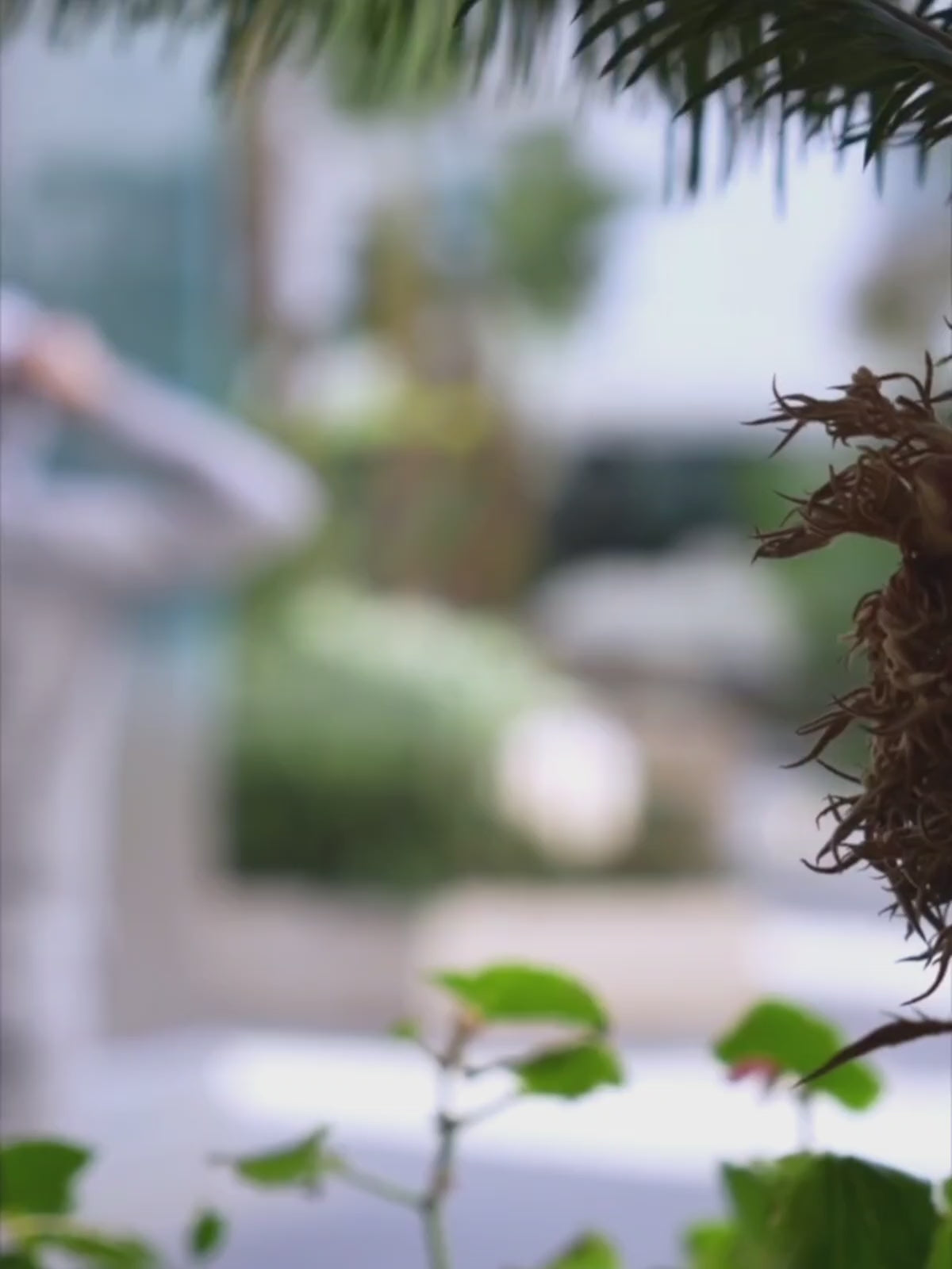 Knitted sneakers - Sand tones